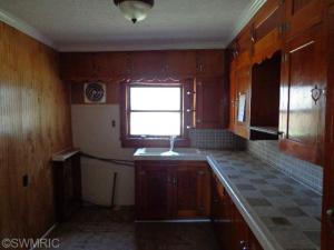 407 E First St, Ovid, MI 48866 photo 10