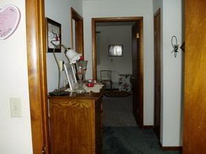 341 Sunset, Dowling, MI 49050 photo 13