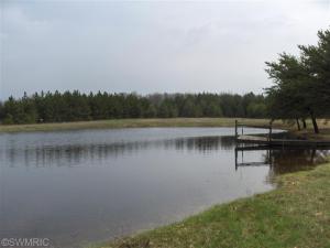 11114 Walnut Ave, Bitely, MI 49309 photo 2
