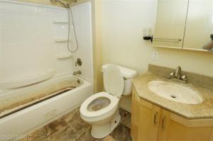 335 Jane St, Bellevue, MI 49021 photo 10