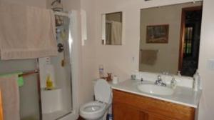 651 Shaw Rd, Bailey, MI 49303 photo 6
