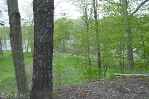 12397 S Loader Ln, Grant, MI 49327 photo 3