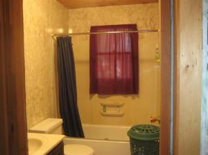 9152 S Oxeye Ave, Baldwin, MI 49304 photo 3