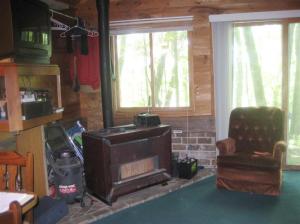 9152 S Oxeye Ave, Baldwin, MI 49304 photo 6