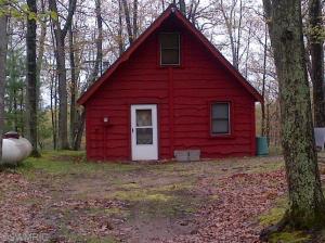 9152 S Oxeye Ave, Baldwin, MI 49304 photo 1
