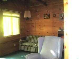 9152 S Oxeye Ave, Baldwin, MI 49304 photo 7