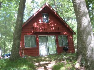 9152 S Oxeye Ave, Baldwin, MI 49304 photo 2