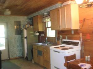 9152 S Oxeye Ave, Baldwin, MI 49304 photo 5