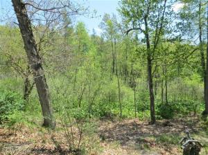 52324 Johnson Rd, Three Rivers, MI 49093 photo 5