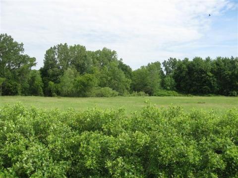 142 Nd Ave, Dorr, MI photo 2