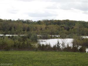 1160 Hopkins, Lyons, MI 48851 photo 20