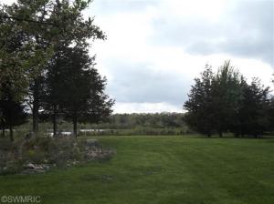 1160 Hopkins, Lyons, MI 48851 photo 19