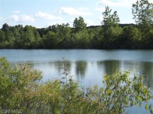 1160 Hopkins, Lyons, MI 48851 photo 22