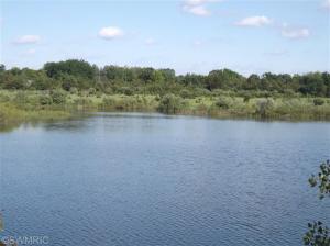 1160 Hopkins, Lyons, MI 48851 photo 23
