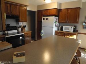 1160 Hopkins, Lyons, MI 48851 photo 10