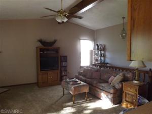 1160 Hopkins, Lyons, MI 48851 photo 7