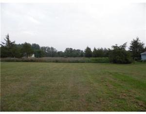 1160 Hopkins, Lyons, MI 48851 photo 14
