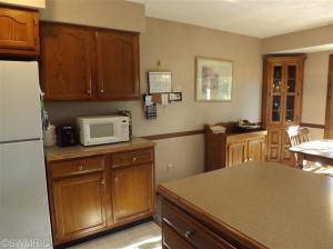 1160 Hopkins, Lyons, MI 48851 photo 9
