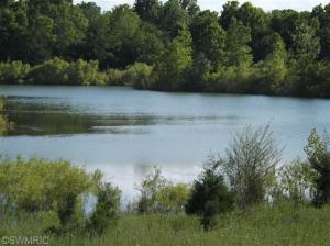 1160 Hopkins, Lyons, MI 48851 photo 2