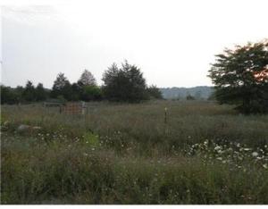 1160 Hopkins, Lyons, MI 48851 photo 15