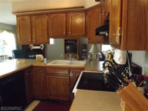 1160 Hopkins, Lyons, MI 48851 photo 6