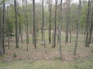 830 E 6 Mile Rd, White Cloud, MI 49349 photo 13