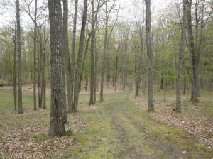 830 E 6 Mile Rd, White Cloud, MI 49349 photo 2