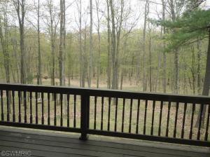 830 E 6 Mile Rd, White Cloud, MI 49349 photo 4