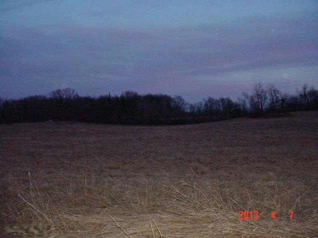 2251 E Harmon, Camden, MI 49232 photo 4