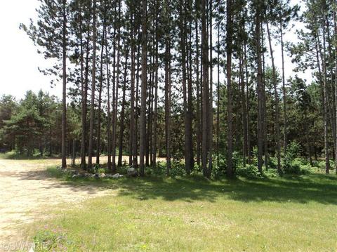 5177 E 48th St, Newaygo, MI 49337 photo 17