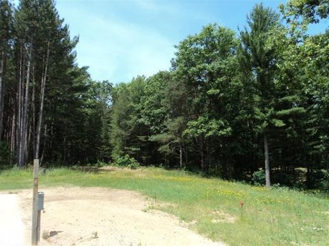 5177 E 48th St, Newaygo, MI 49337 photo 18