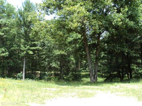 5177 E 48th St, Newaygo, MI 49337 photo 5