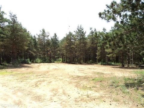 5177 E 48th St, Newaygo, MI 49337 photo 21