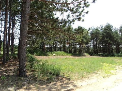 5177 E 48th St, Newaygo, MI 49337 photo 20