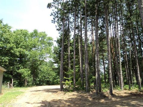 5177 E 48th St, Newaygo, MI 49337 photo 23