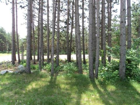 5177 E 48th St, Newaygo, MI 49337 photo 12