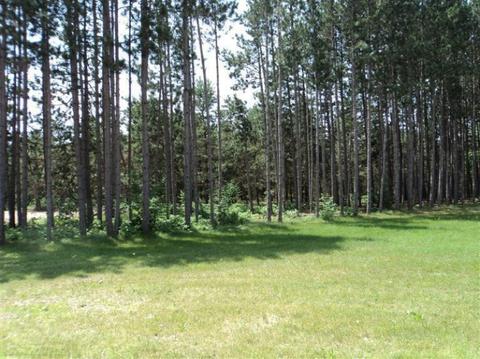 5177 E 48th St, Newaygo, MI 49337 photo 16
