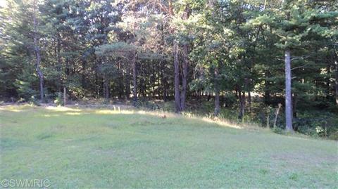 5177 E 48th St, Newaygo, MI 49337 photo 10