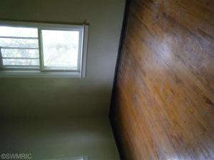 424 Third St, Edmore, MI 48829 photo 11