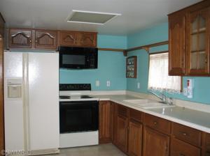 9627 Lakeview Dr, Jerome, MI 49249 photo 2