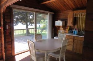 2001 White Birch Dr, Mears, MI 49436 photo 5