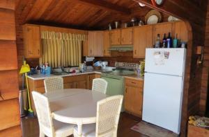 2001 White Birch Dr, Mears, MI 49436 photo 4