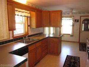 191 W Sidney Rd, Sidney, MI 48885 photo 10