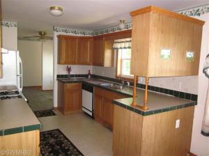 191 W Sidney Rd, Sidney, MI 48885 photo 7