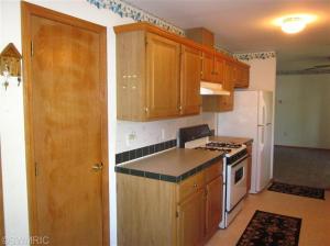 191 W Sidney Rd, Sidney, MI 48885 photo 9