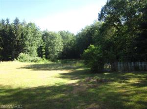 191 W Sidney Rd, Sidney, MI 48885 photo 22