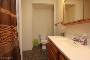 403 E Ann St, Belding, MI 48809 photo 10