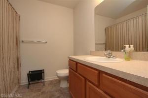 739 Pine Ridge Dr, Belding, MI 48809 photo 20