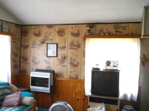 3115 W Deer Dr, Baldwin, MI 49304 photo 9