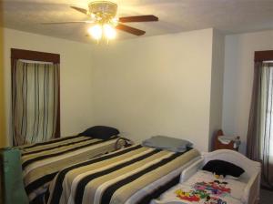 600 E Cannonsville, Stanton, MI 48888 photo 13